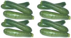 Zucchini6+6.jpg